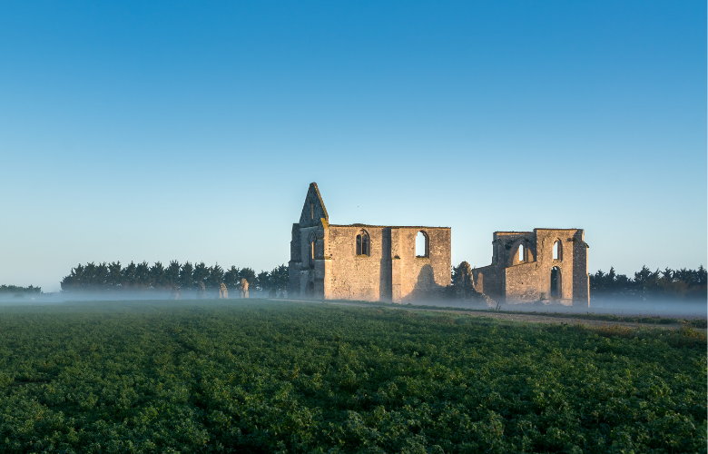 Les ruines de l’abbaye des Châteliers